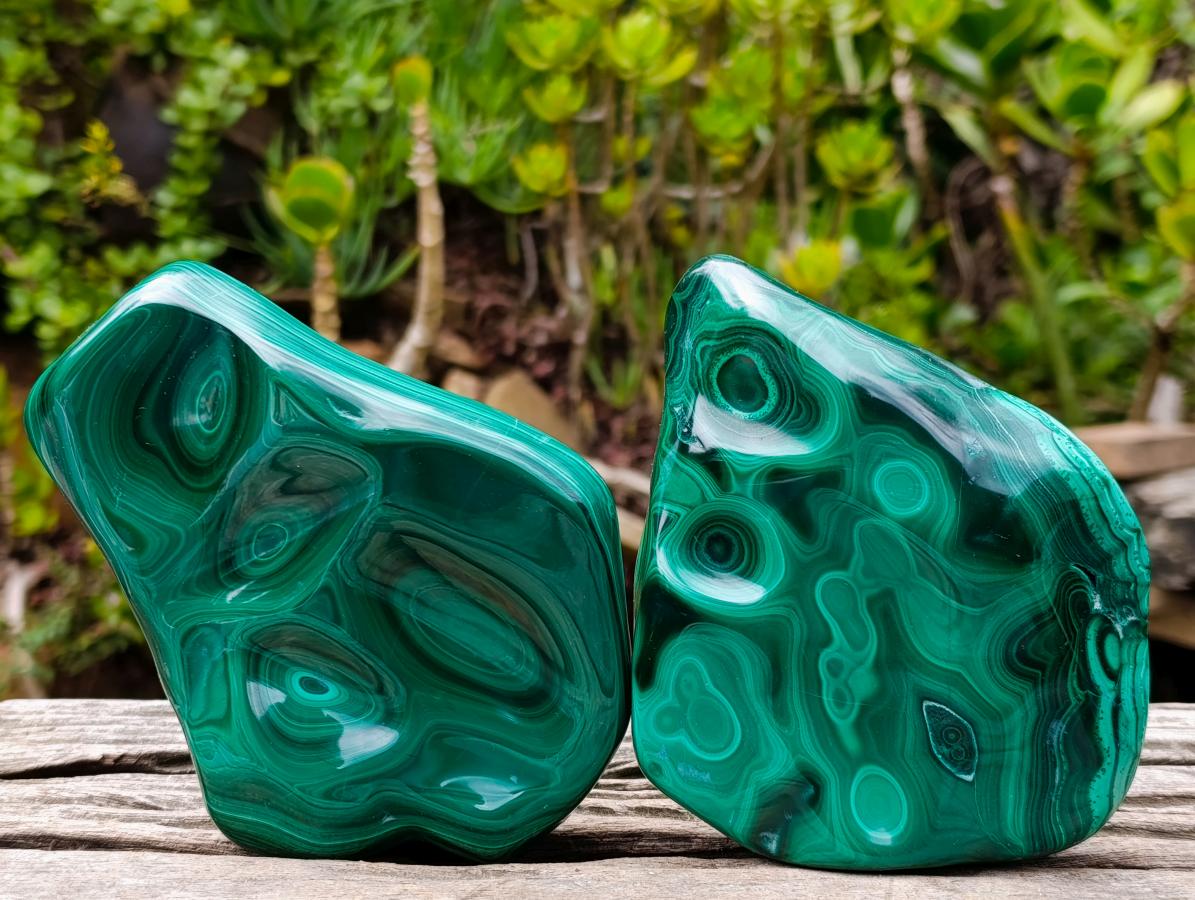 Polished Flower Banded Malachite Free Forms x 2 From Congo - Toprock Gemstones and Minerals 