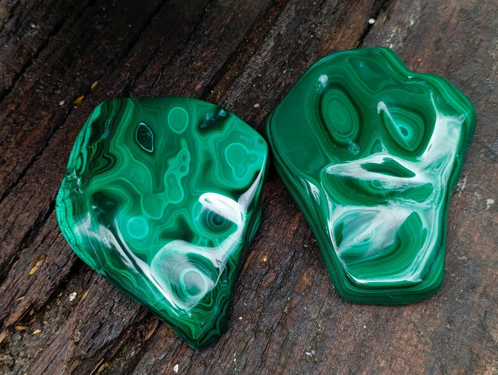Polished Flower Banded Malachite Free Forms x 2 From Congo - Toprock Gemstones and Minerals 