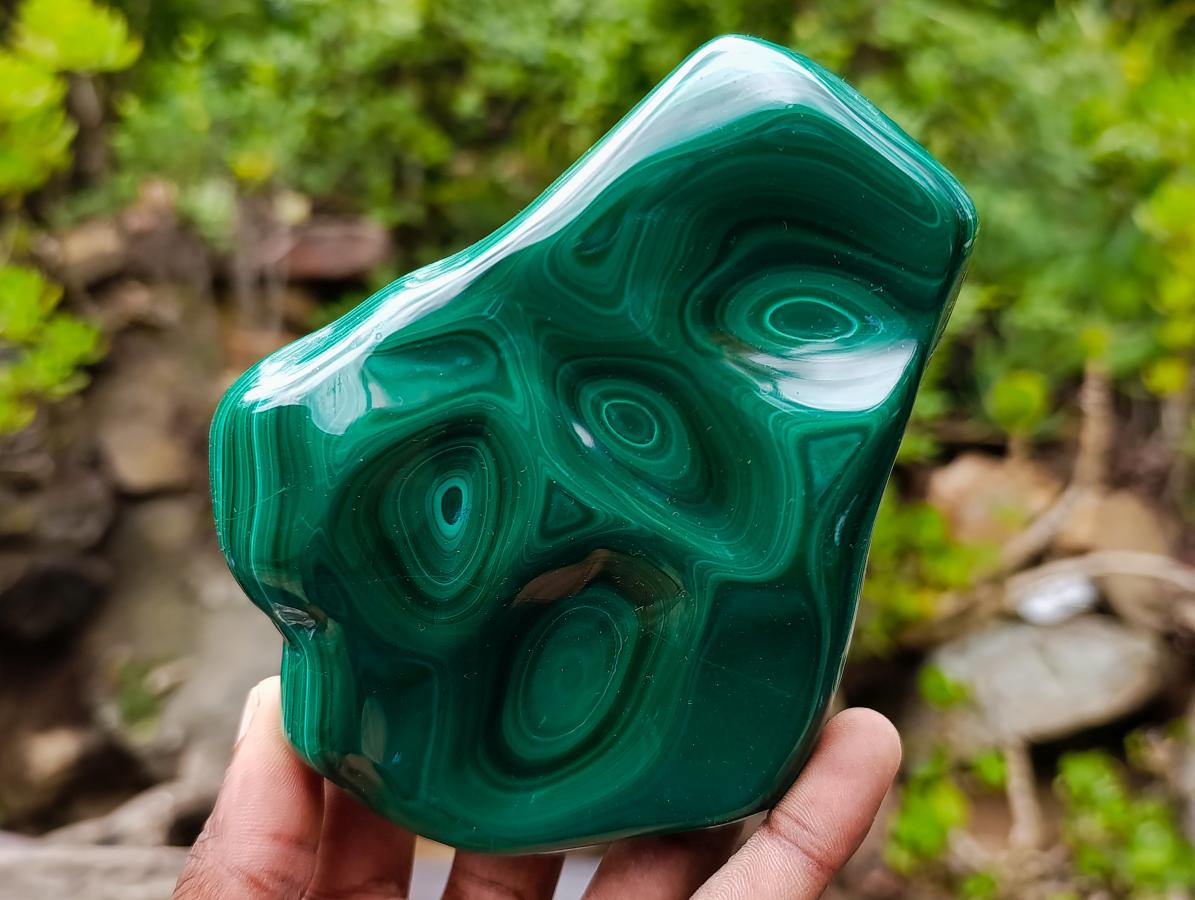 Polished Flower Banded Malachite Free Forms x 2 From Congo - Toprock Gemstones and Minerals 