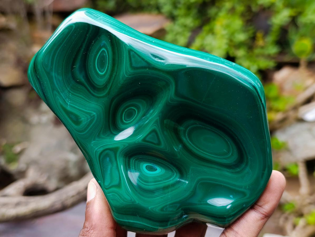 Polished Flower Banded Malachite Free Forms x 2 From Congo - Toprock Gemstones and Minerals 