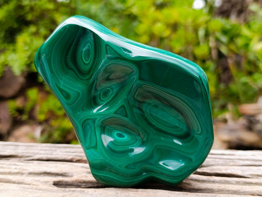 Polished Flower Banded Malachite Free Forms x 2 From Congo - Toprock Gemstones and Minerals 