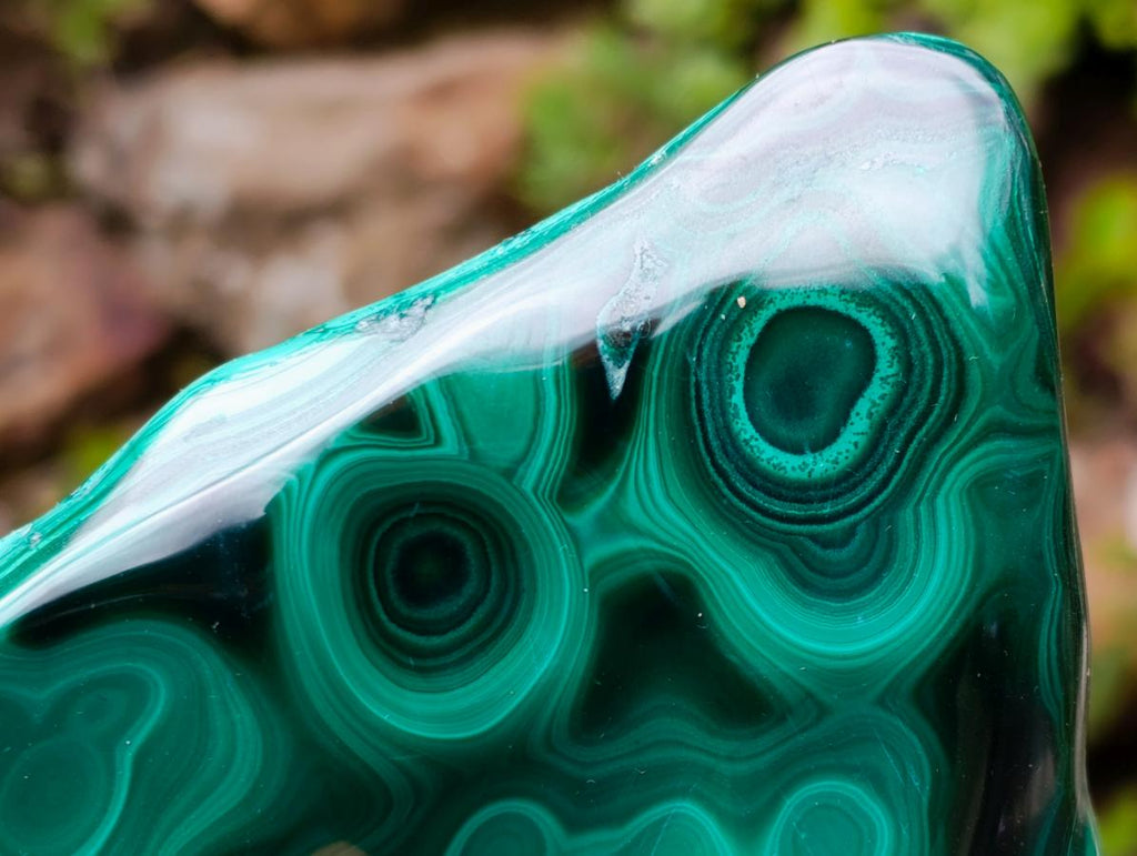 Polished Flower Banded Malachite Free Forms x 2 From Congo - Toprock Gemstones and Minerals 