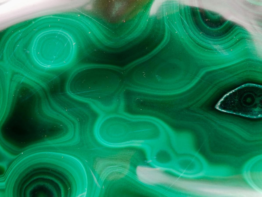 Polished Flower Banded Malachite Free Forms x 2 From Congo - Toprock Gemstones and Minerals 