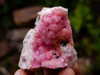 Natural Spherocobaltite Specimens x 12 From Mashamba West Mine, Congo - Toprock Gemstones and Minerals 