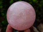Polished Gemmy Rose Quartz Spheres x 12 From Madagascar - Toprock Gemstones and Minerals 