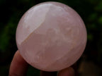Polished Gemmy Rose Quartz Spheres x 12 From Madagascar - Toprock Gemstones and Minerals 