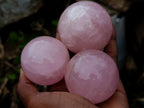 Polished Gemmy Rose Quartz Spheres x 12 From Madagascar - Toprock Gemstones and Minerals 