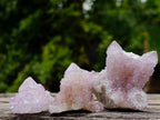 Natural Sunburst Spirit Amethyst Crystals and Clusters x 26 From Boekenhouthoek, South Africa - Toprock Gemstones and Minerals 