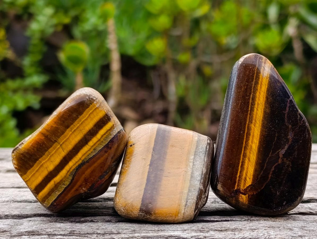 Polished Blue, Red and Gold Tigers Eye Tumbled Sliced x 24 From Prieska, South Africa - Toprock Gemstones and Minerals 