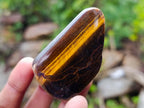 Polished Blue, Red and Gold Tigers Eye Tumbled Sliced x 24 From Prieska, South Africa - Toprock Gemstones and Minerals 