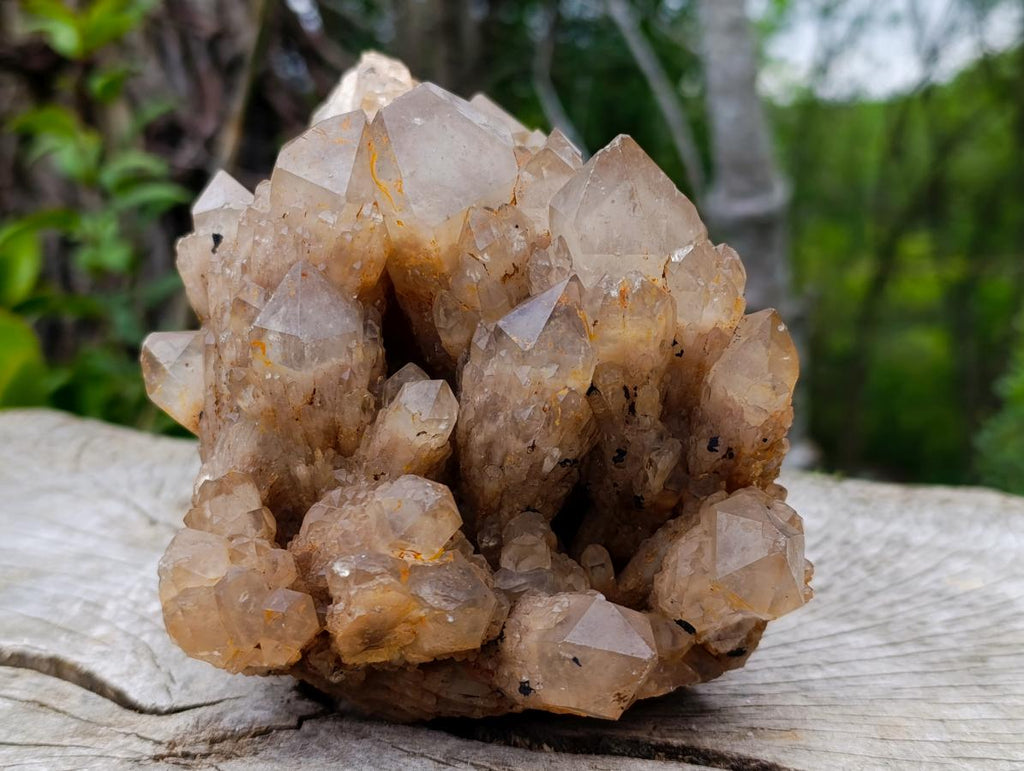 Natural Large Cascading White Phantom Smokey Luena Quartz Cluster x 1 From Luena, Congo - Toprock Gemstones and Minerals 