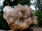 Natural Large Cascading White Phantom Smokey Luena Quartz Cluster x 1 From Luena, Congo - Toprock Gemstones and Minerals 