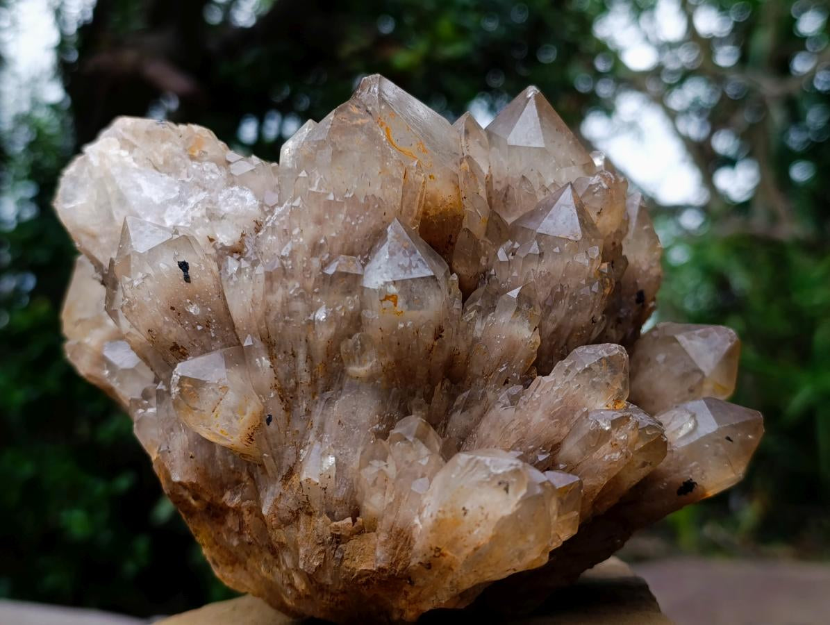Natural Large Cascading White Phantom Smokey Luena Quartz Cluster x 1 From Luena, Congo - Toprock Gemstones and Minerals 