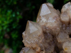 Natural Large Cascading White Phantom Smokey Luena Quartz Cluster x 1 From Luena, Congo - Toprock Gemstones and Minerals 