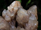 Natural Large Cascading White Phantom Smokey Luena Quartz Cluster x 1 From Luena, Congo - Toprock Gemstones and Minerals 