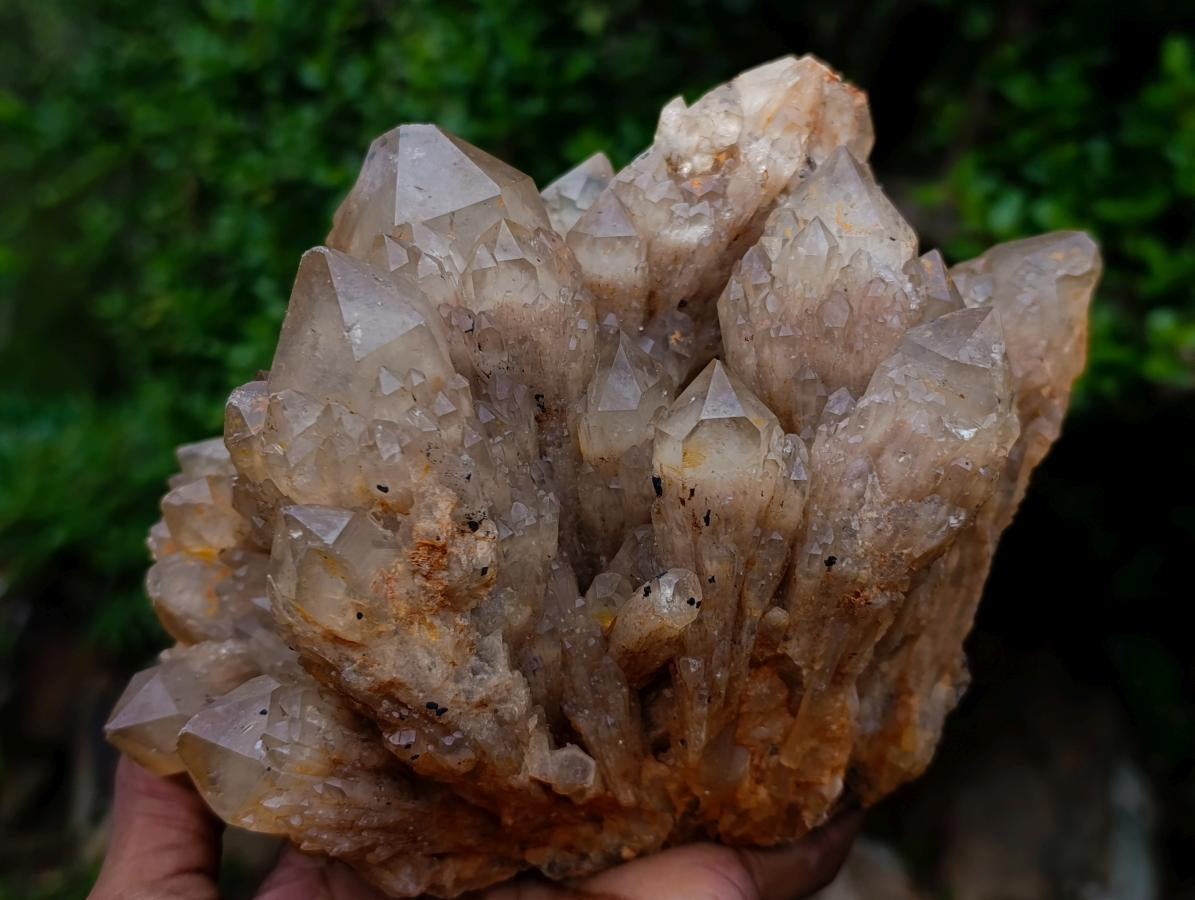 Natural Large Cascading White Phantom Smokey Luena Quartz Cluster x 1 From Luena, Congo - Toprock Gemstones and Minerals 