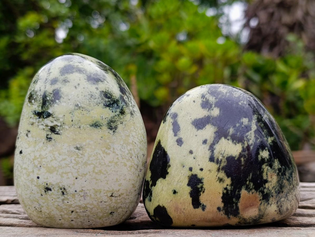 Polished Leopard Stone Standing Display Pieces and Free Forms x 6 From Zimbabwe - Toprock Gemstones and Minerals 