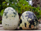 Polished Leopard Stone Standing Display Pieces and Free Forms x 6 From Zimbabwe - Toprock Gemstones and Minerals 