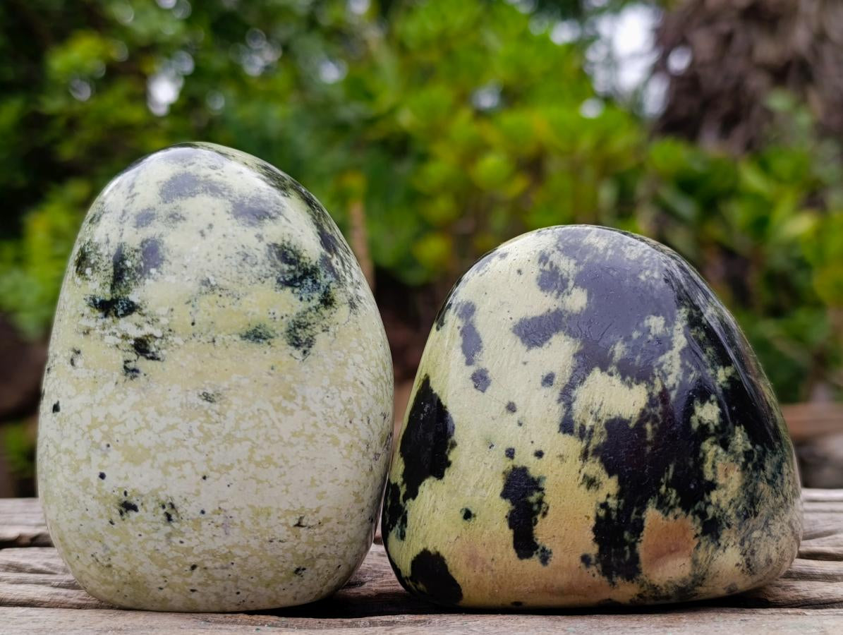 Polished Leopard Stone Standing Display Pieces and Free Forms x 6 From Zimbabwe - Toprock Gemstones and Minerals 