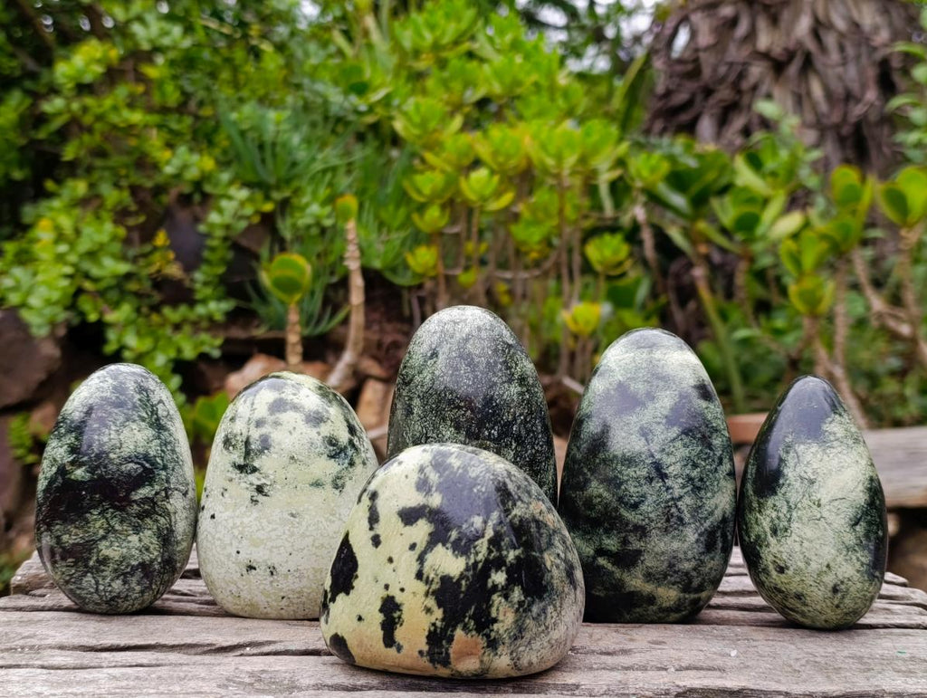 Polished Leopard Stone Standing Display Pieces and Free Forms x 6 From Zimbabwe - Toprock Gemstones and Minerals 