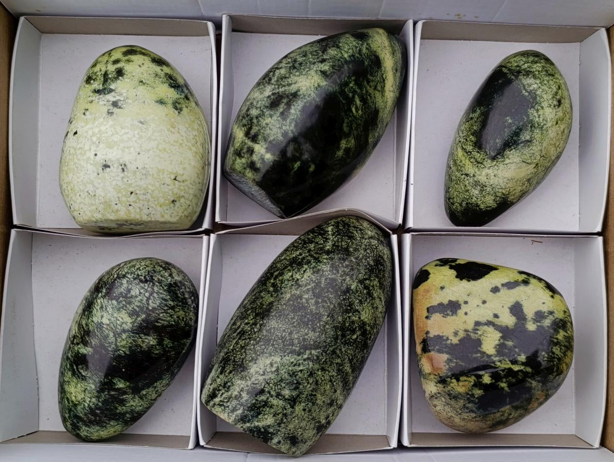 Polished Leopard Stone Standing Display Pieces and Free Forms x 6 From Zimbabwe - Toprock Gemstones and Minerals 