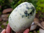 Polished Leopard Stone Standing Display Pieces and Free Forms x 6 From Zimbabwe - Toprock Gemstones and Minerals 