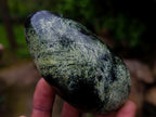Polished Leopard Stone Standing Display Pieces and Free Forms x 6 From Zimbabwe - Toprock Gemstones and Minerals 