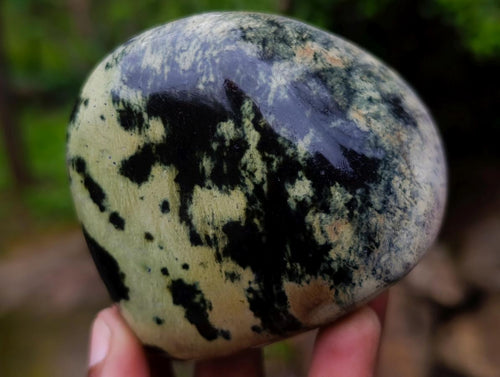 Polished Leopard Stone Standing Display Pieces and Free Forms x 6 From Zimbabwe - Toprock Gemstones and Minerals 