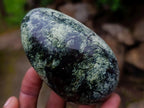 Polished Leopard Stone Standing Display Pieces and Free Forms x 6 From Zimbabwe - Toprock Gemstones and Minerals 