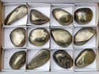 Polished Basalt Pharaoh Stone Free Forms x 12 From Iron Duke Mine, Zimbabwe - Toprock Gemstones and Minerals 