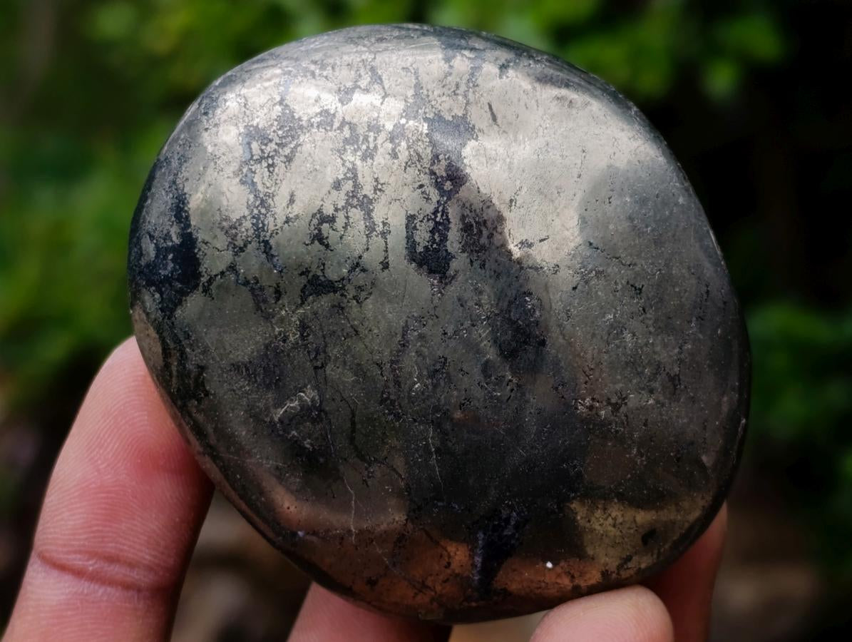 Polished Basalt Pharaoh Stone Free Forms x 12 From Iron Duke Mine, Zimbabwe - Toprock Gemstones and Minerals 