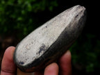 Polished Basalt Pharaoh Stone Free Forms x 12 From Iron Duke Mine, Zimbabwe - Toprock Gemstones and Minerals 