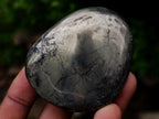 Polished Basalt Pharaoh Stone Free Forms x 12 From Iron Duke Mine, Zimbabwe - Toprock Gemstones and Minerals 