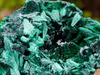 Natural Silky Malachite Specimens x 6 From Kasompe, Congo - Toprock Gemstones and Minerals 