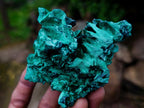 Natural Silky Malachite Specimens x 6 From Kasompe, Congo - Toprock Gemstones and Minerals 