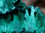 Natural Silky Malachite Specimens x 6 From Kasompe, Congo - Toprock Gemstones and Minerals 