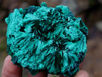 Natural Silky Malachite Specimens x 6 From Kasompe, Congo - Toprock Gemstones and Minerals 