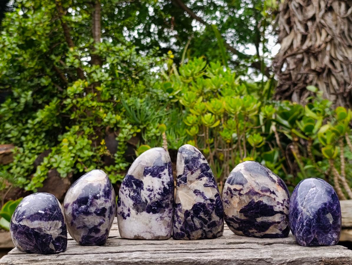 Polished Lepidolite Standing Display Pieces x 6 From Zimbabwe - Toprock Gemstones and Minerals 