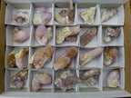 Natural Spirit Quartz and Spirit Ametrine Crystals x 20 From Boekenhouthoek, South Africa - Toprock Gemstones and Minerals 