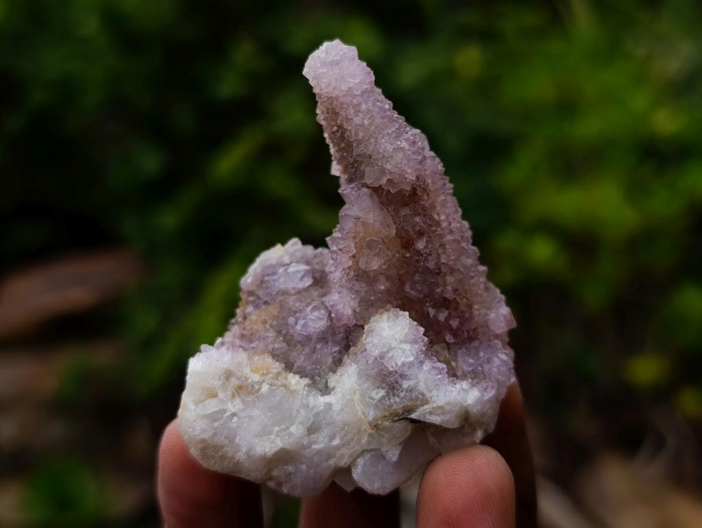Natural Spirit Quartz and Spirit Ametrine Crystals x 20 From Boekenhouthoek, South Africa - Toprock Gemstones and Minerals 