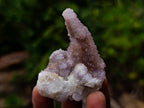 Natural Spirit Quartz and Spirit Ametrine Crystals x 20 From Boekenhouthoek, South Africa - Toprock Gemstones and Minerals 
