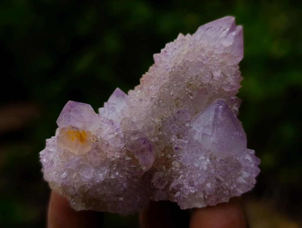 Natural Spirit Quartz and Spirit Ametrine Crystals x 20 From Boekenhouthoek, South Africa - Toprock Gemstones and Minerals 