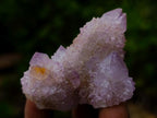 Natural Spirit Quartz and Spirit Ametrine Crystals x 20 From Boekenhouthoek, South Africa - Toprock Gemstones and Minerals 