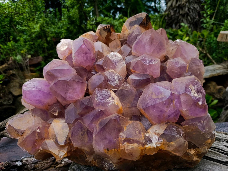 Natural XXL Jacaranda Amethyst  Cluster x 1 From Mumbwa, Zambia - Toprock Gemstones and Minerals 