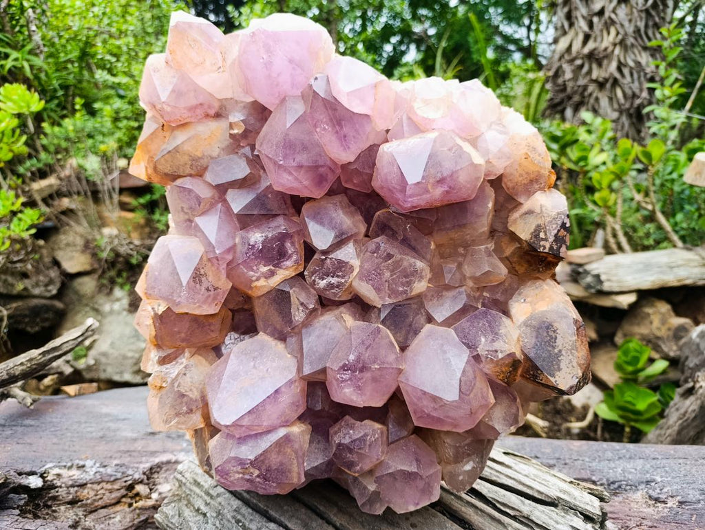 Natural XXL Jacaranda Amethyst  Cluster x 1 From Mumbwa, Zambia - Toprock Gemstones and Minerals 