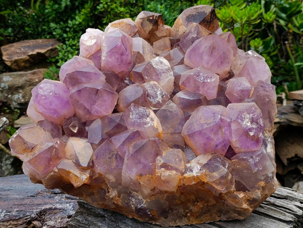 Natural XXL Jacaranda Amethyst  Cluster x 1 From Mumbwa, Zambia - Toprock Gemstones and Minerals 
