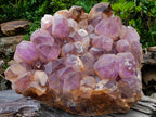 Natural XXL Jacaranda Amethyst  Cluster x 1 From Mumbwa, Zambia - Toprock Gemstones and Minerals 