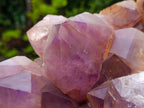 Natural XXL Jacaranda Amethyst  Cluster x 1 From Mumbwa, Zambia - Toprock Gemstones and Minerals 