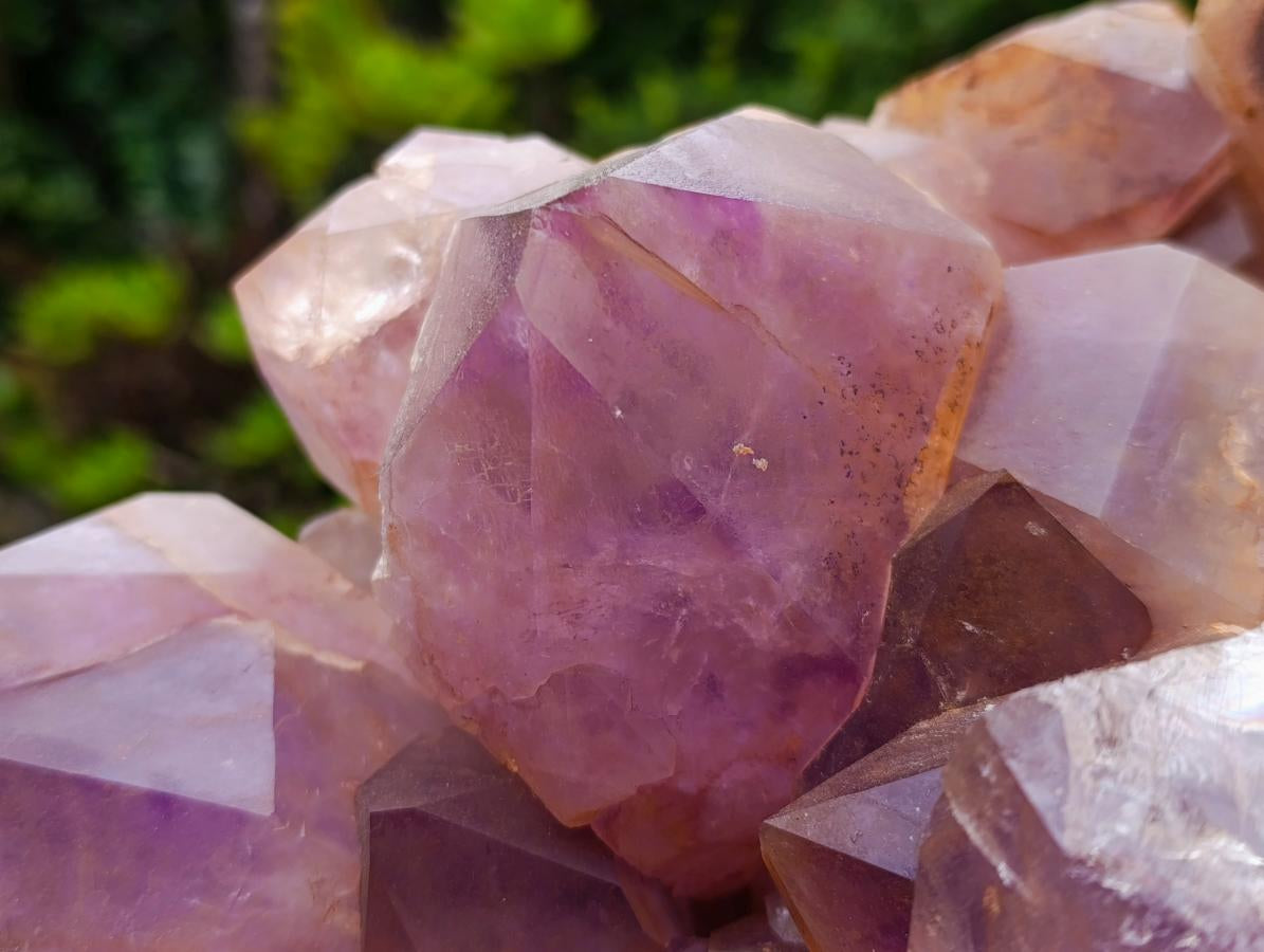 Natural XXL Jacaranda Amethyst  Cluster x 1 From Mumbwa, Zambia - Toprock Gemstones and Minerals 