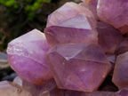 Natural XXL Jacaranda Amethyst  Cluster x 1 From Mumbwa, Zambia - Toprock Gemstones and Minerals 